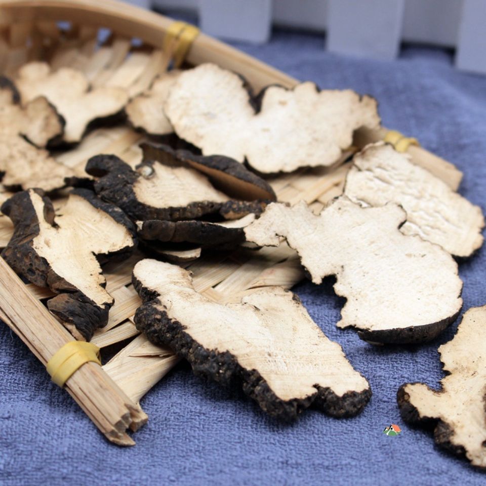 Polyporus diuretic and diuretic medicine