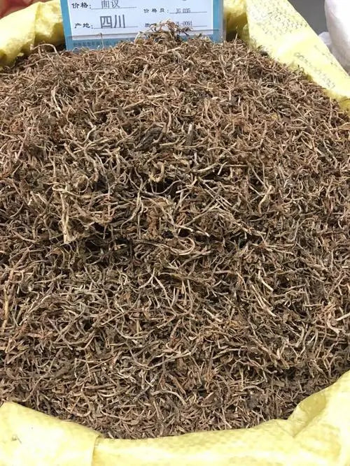 Herbal medicine for dampness-reducing dampness: Chuipencao