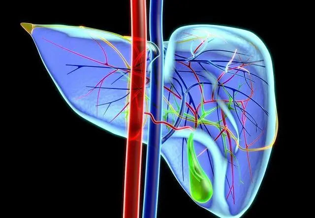 Israeli experts: anti-inflammatory drugs may prevent liver cancer