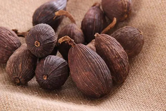 Herbs and Fruits for Resolving Dampness