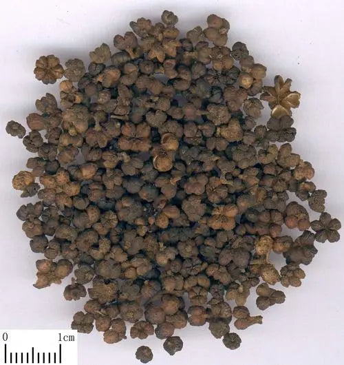 Evodia evodia, a warming medicine | Chinese medicine knowledge