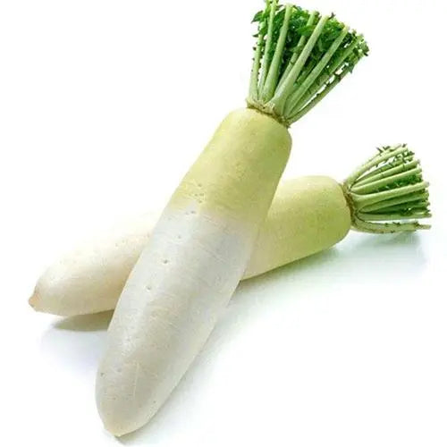 Ordinary and miraculous radish~