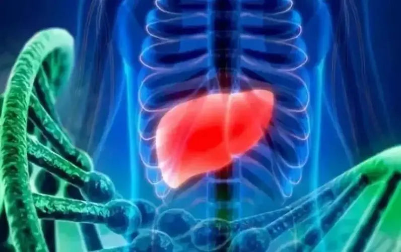 Liver cancer high prevalence area in Yilan 80% of the people refused to go back to the doctor