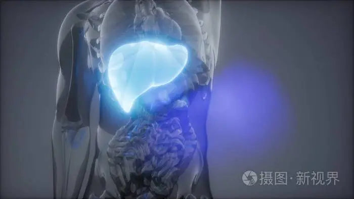 Skip liver cirrhosis young doctor B liver change liver cancer