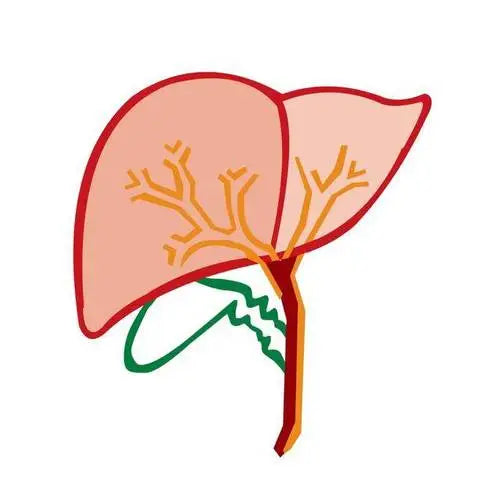 The cost of liver replacement in mainland China is 1.2 million
