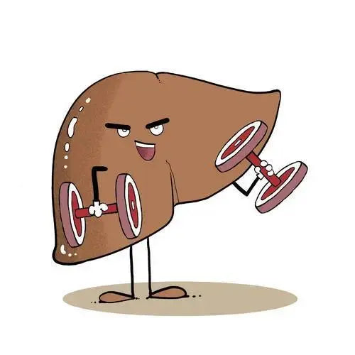 Eat gout medicine to eat liver replacement? Physician: There is no direct relationship between the two