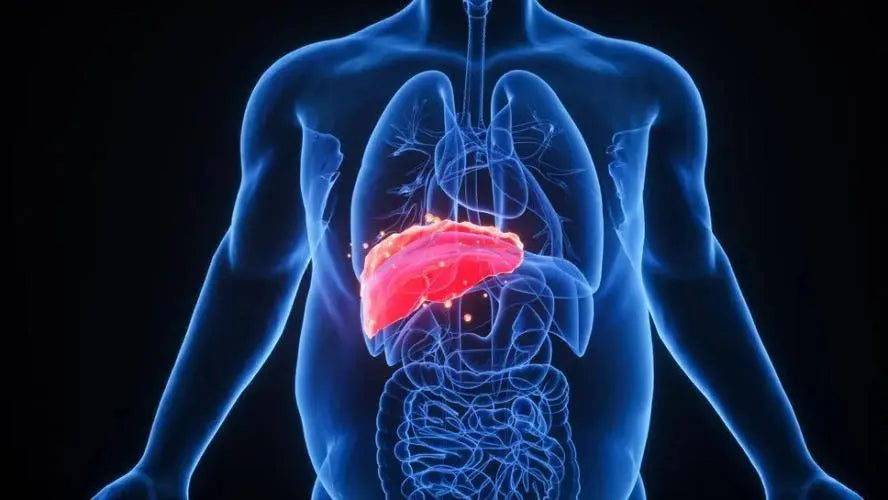 Study shows that drinking coffee can reduce liver cancer by half, but Hong Kong doctors think otherwise