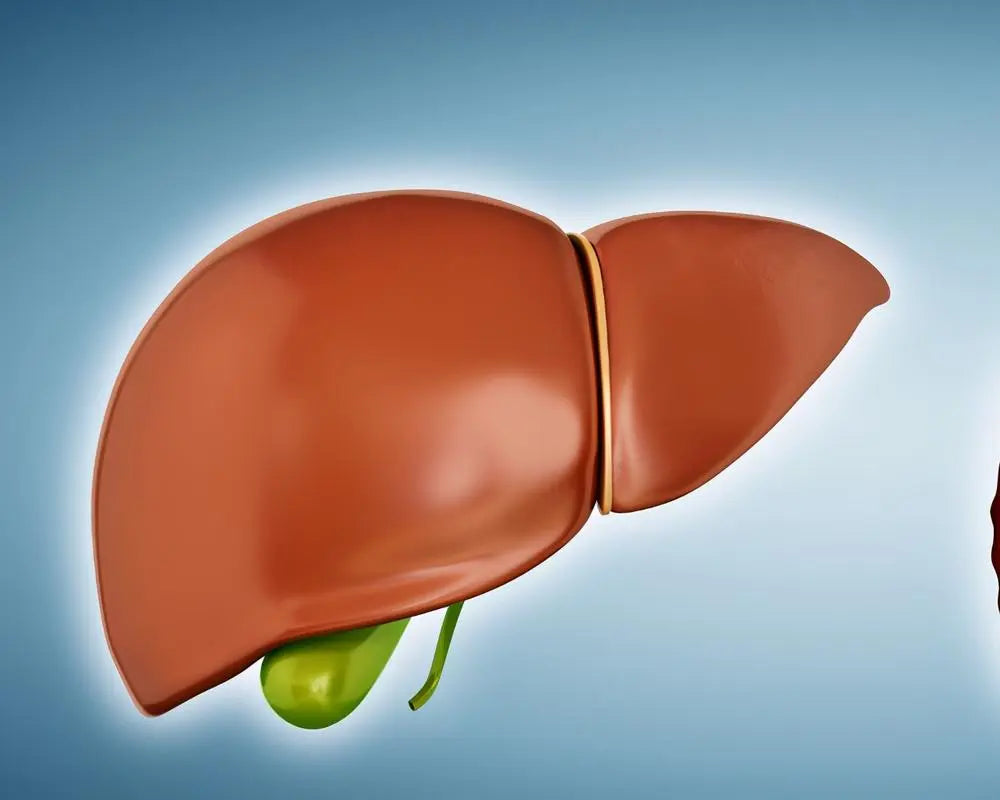 Schisandra chinensis natural hepatoprotective agent