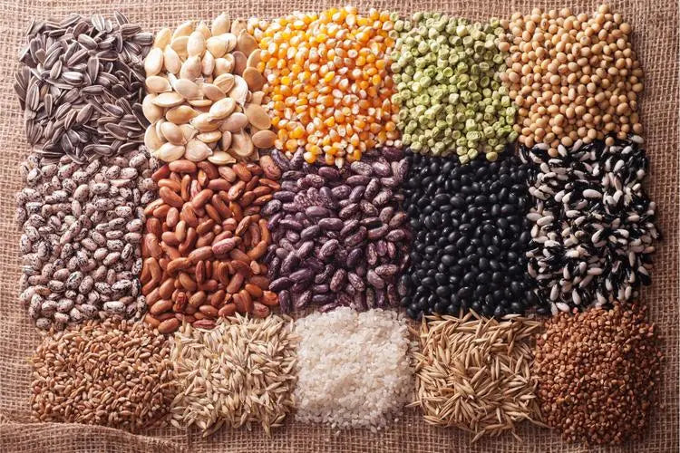 Correctly identify the freshness of medicinal seeds