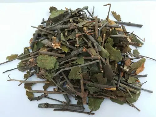Rheumatism-dispelling medicine·Sangjisheng