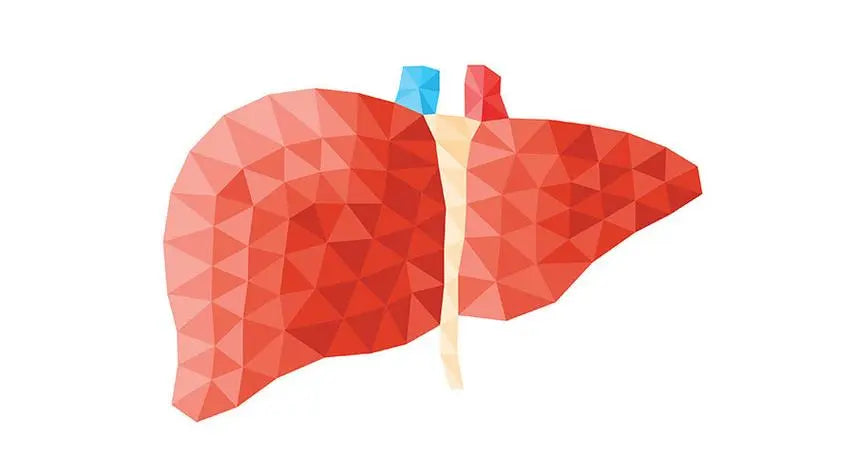200 liver transplants from living donors created 11 world firsts