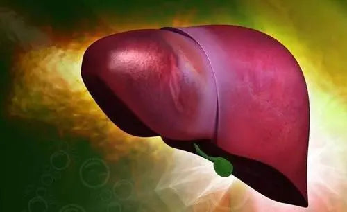 Eating too much soy may cause liver cancer in women