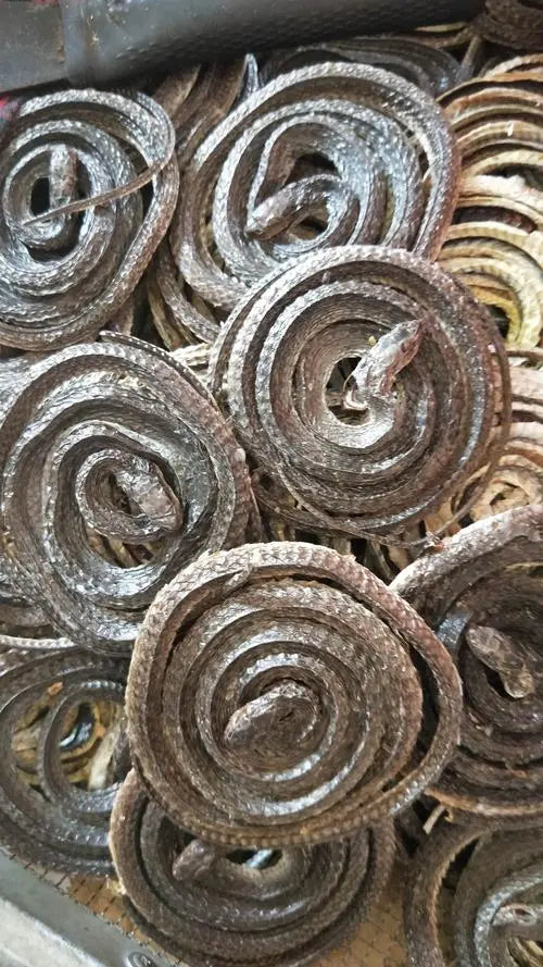 Rheumatism-dispelling medicine · Wushao snake
