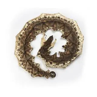 Rheumatism-dispelling medicine · Viper for dispelling wind-cold-dampness