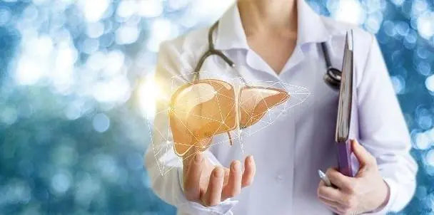 Liver-loving New Paradise has a lot of water, but it’s not good and less water is troublesome