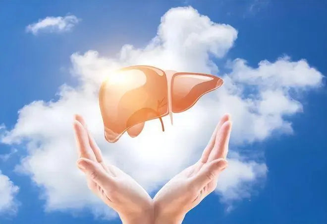New drug developed in Hong Kong brings new hope to patients with terminal liver cancer