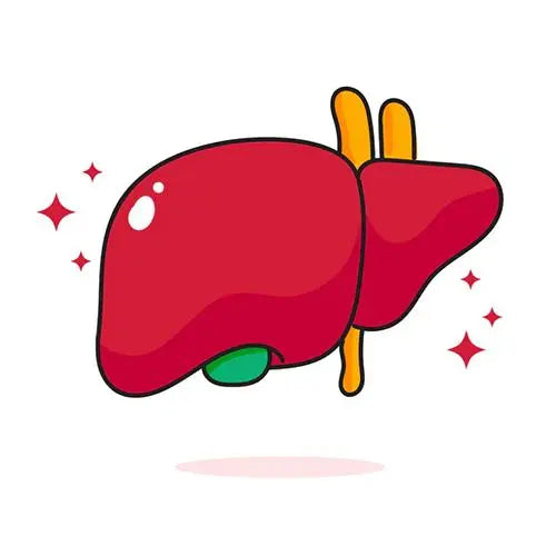 56% of liver B mutant strains become liver cancer within ten years