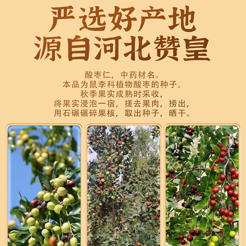 Spina Date Seed - suan zao ren