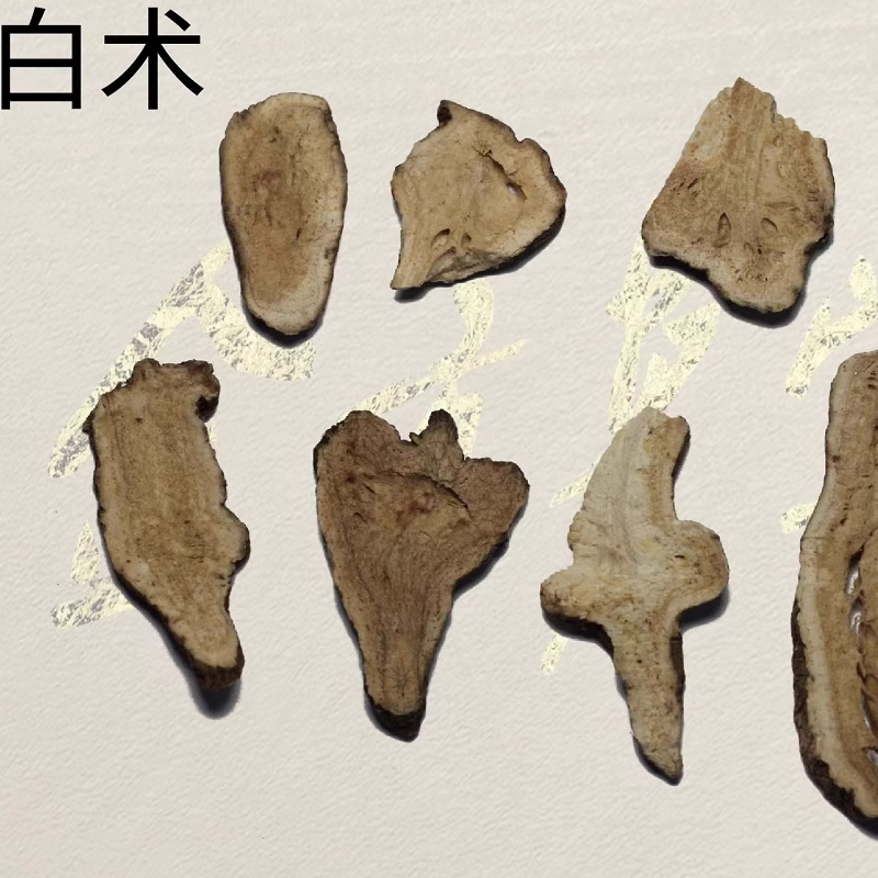 Bai zhu - Atractylodes macrocephalae