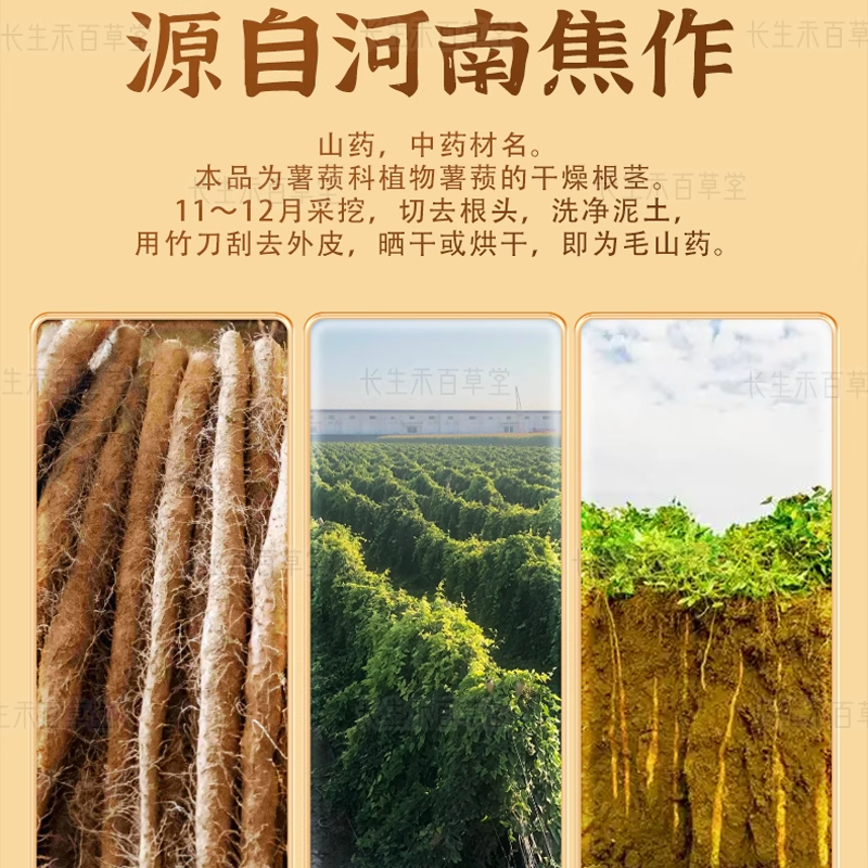 Chinese yam - shan yao