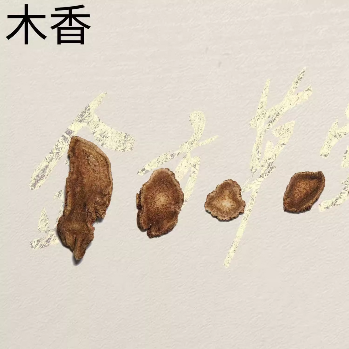 Mu xiang - Costustoot