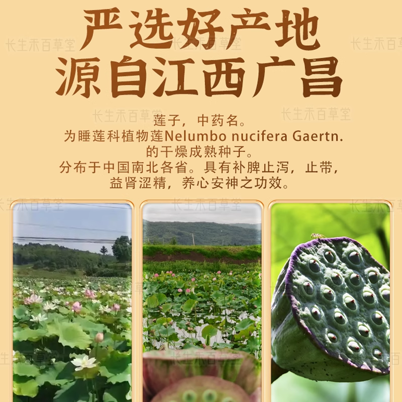 Lotus seeds - lian zi