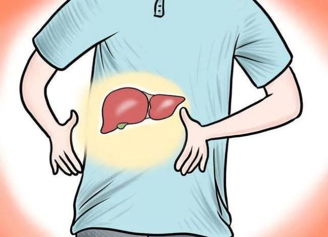 Western medicine: Liver disease avoid tonic, be careful to protect the liver and damage the liver