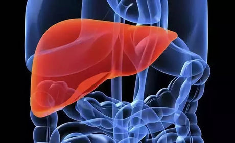 Injection of interferon after liver cancer surgery can reduce the recurrence rate