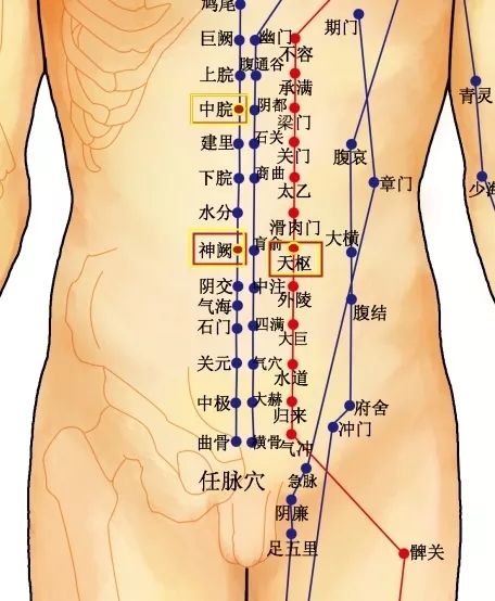 The Best Acupuncture Points to Address Abdominal Pain