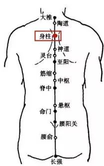 The Body Pillar of the Du Meridian | Common Sense of Acupuncture Points