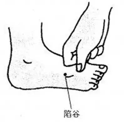 The valley of the acupoints in the Stomach Meridian of Foot Yangming