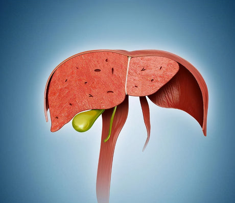 50% of liver B carriers are unaware