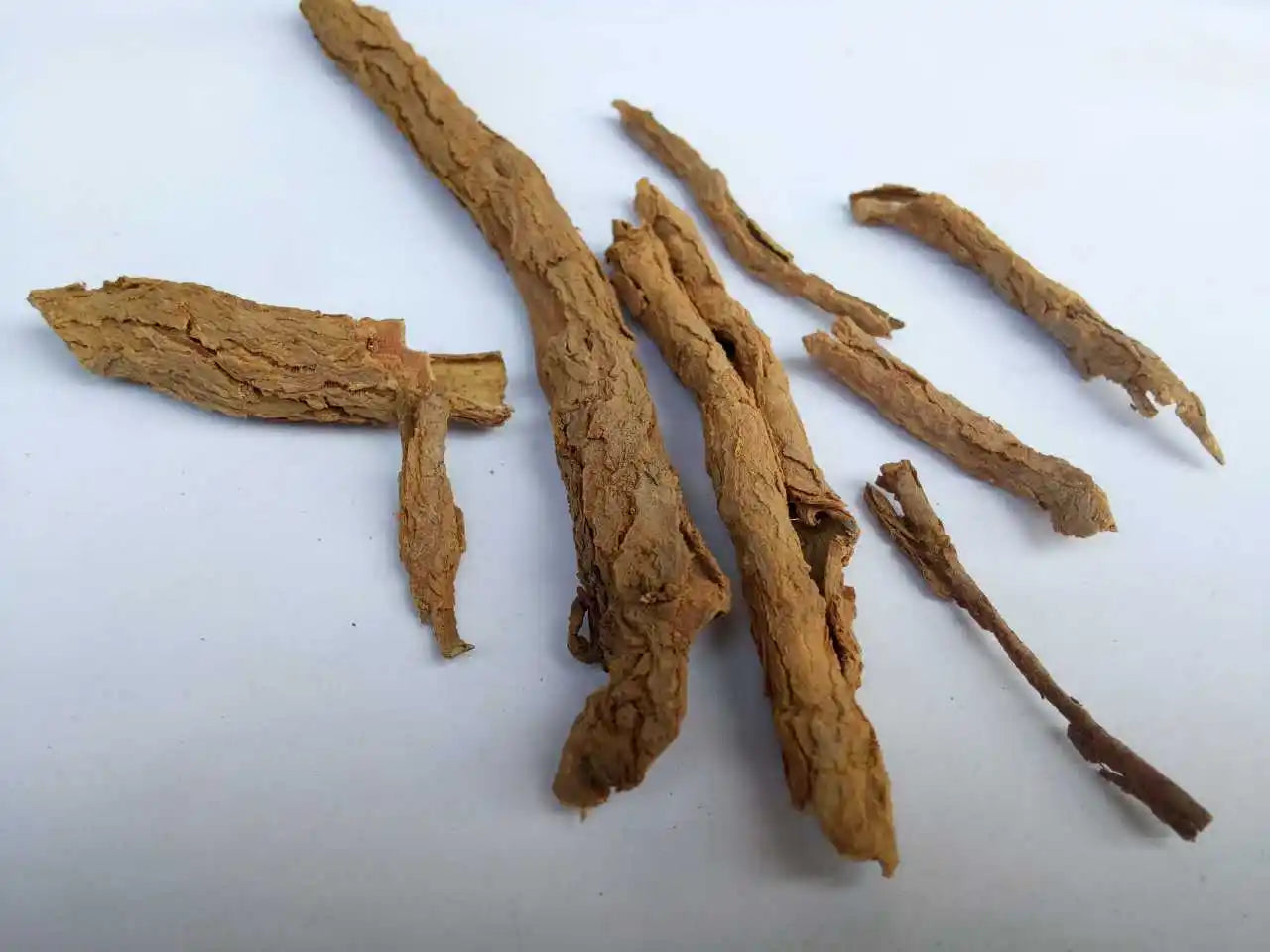 Heat-clearing medicine-Digupi for clearing deficiency and heat