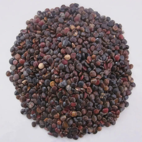 Diuretic and dampness-removing medicine·Hovenia vesifolia