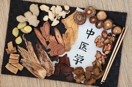 [Chinese Medicine] learning experience (68) Lizhong Decoction