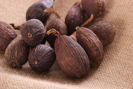Herbs and Fruits for Resolving Dampness