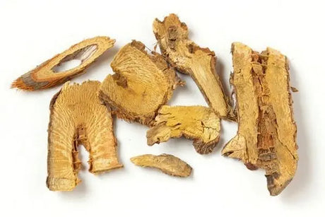 Diuresis and Dampness Medicine · Polygonum cuspidatum