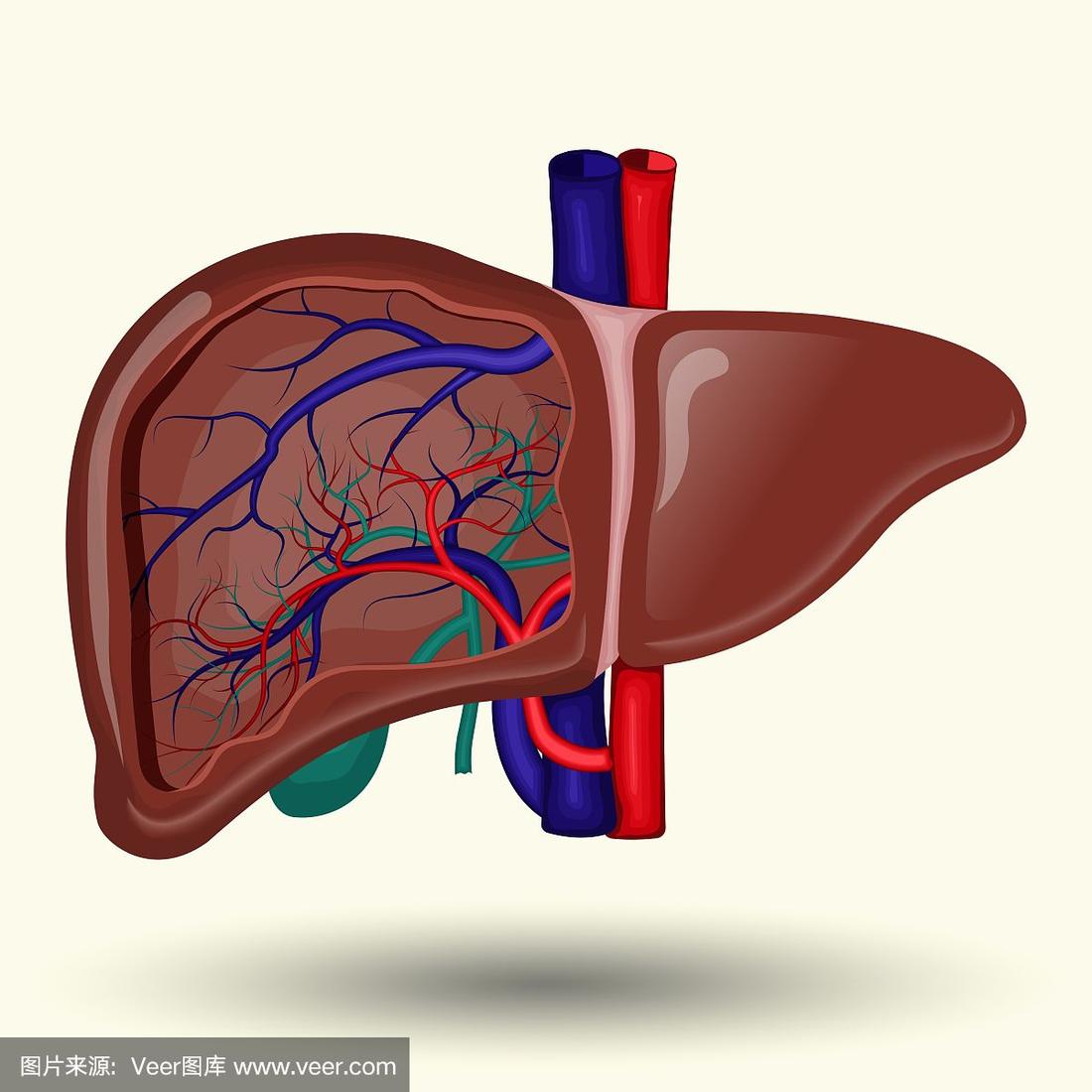 The cure rate of liver C new drug reaches 70%