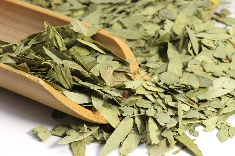 Laxatives - Attacking Herbs - Senna Leaf