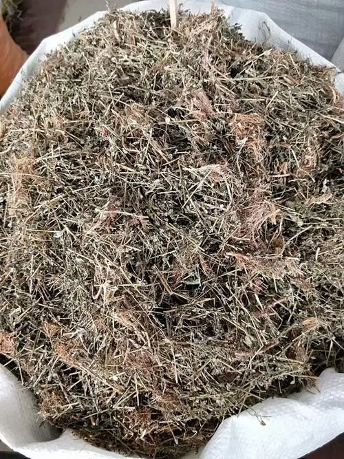 Herbs for diuresis medicines: Diuranthus aurantiae