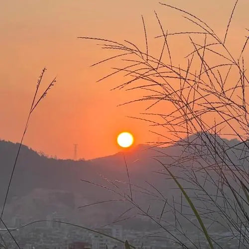 Every day the sun is fresh
