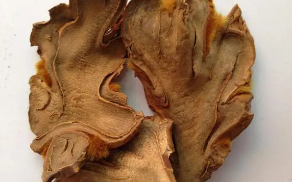 dispelling rheumatism and strengthening bones dog ridge