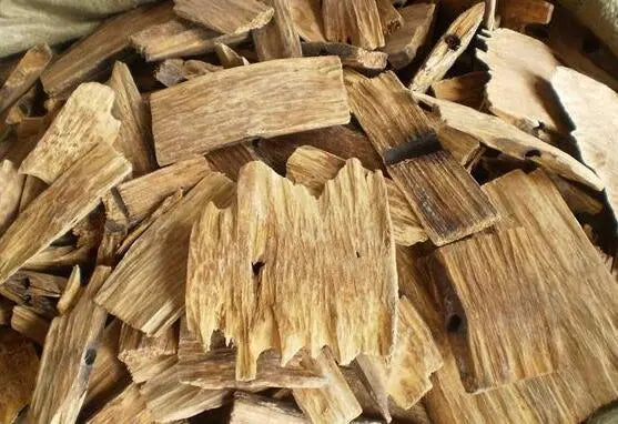 Agarwood, a medicine for regulating qi 