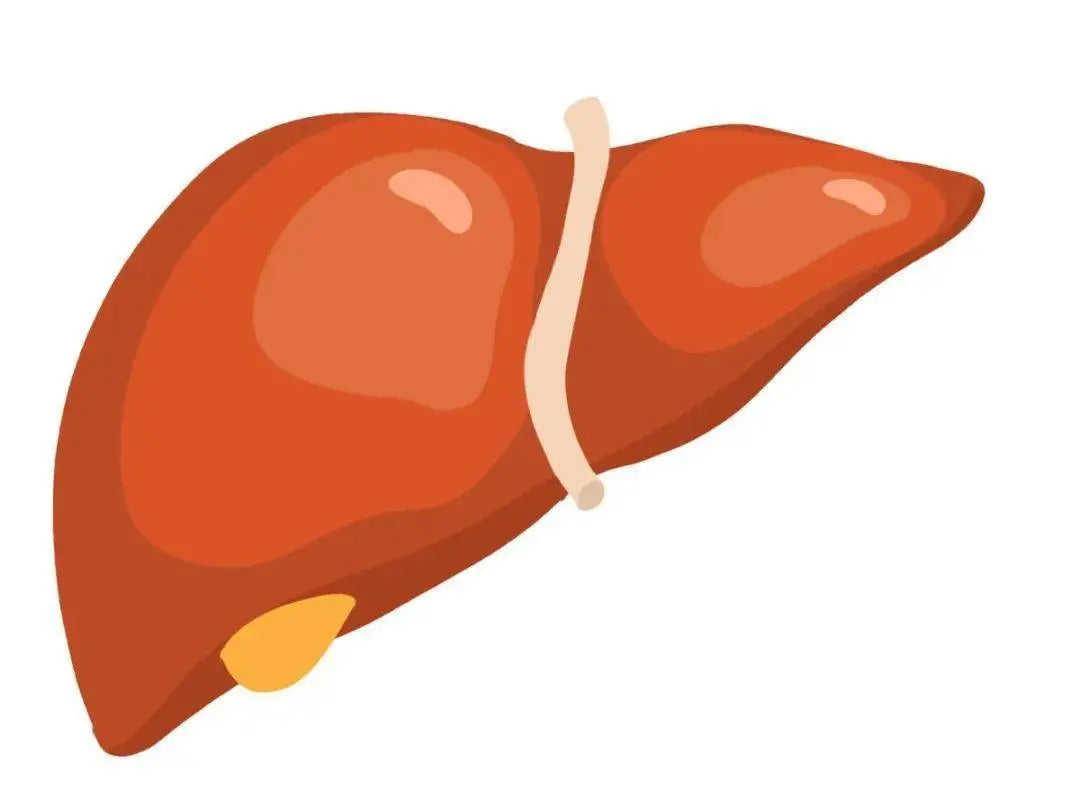 Health encyclopedia interferon treatment of chronic hepatitis C