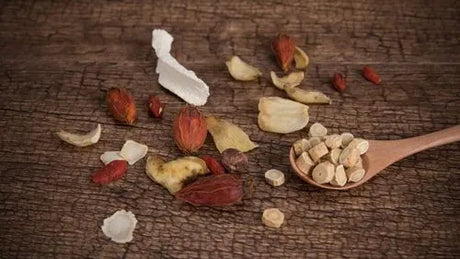 Chinese medicine teaches me how to live | Fan feedback