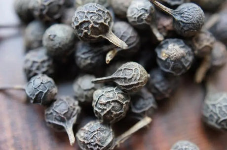 Warming medicine: Pipiper tuber | Chinese medicine knowledge
