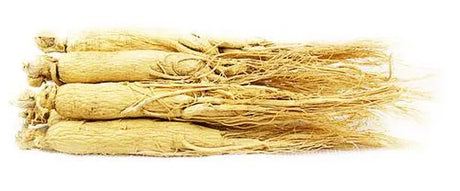 Traditional Chinese Medicine—Worth a lifetime of practice