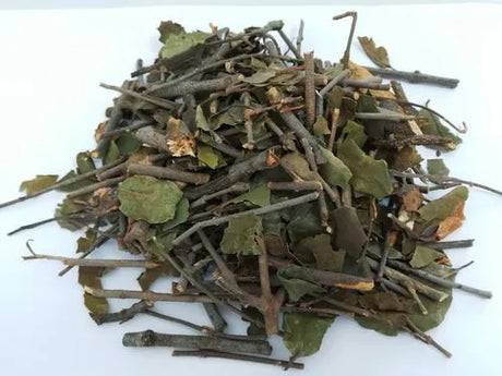 Rheumatism-dispelling medicine·Sangjisheng