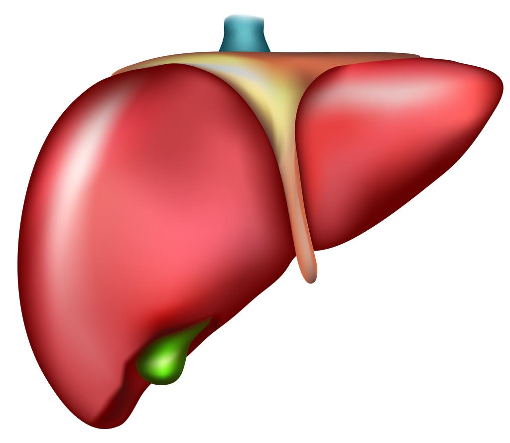 Domestic patients with insufficient liver beating their hearts and livers