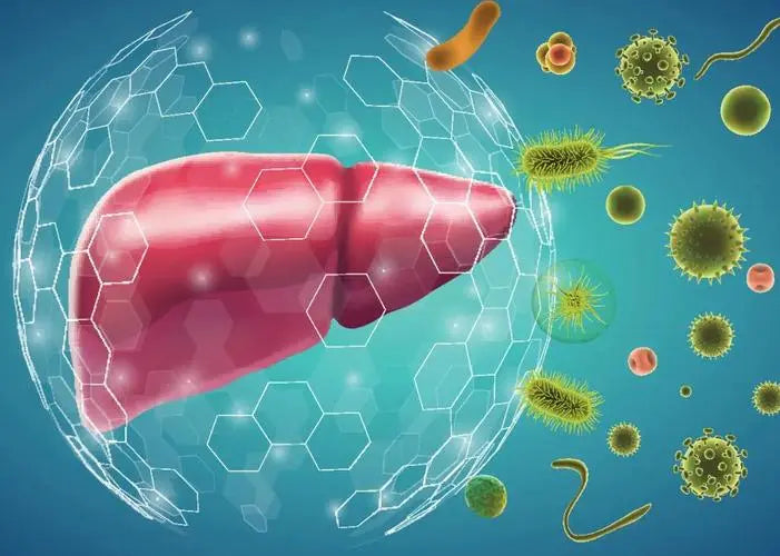 Multiple sclerosis outbreak sparked by hepatitis B vaccine controversy